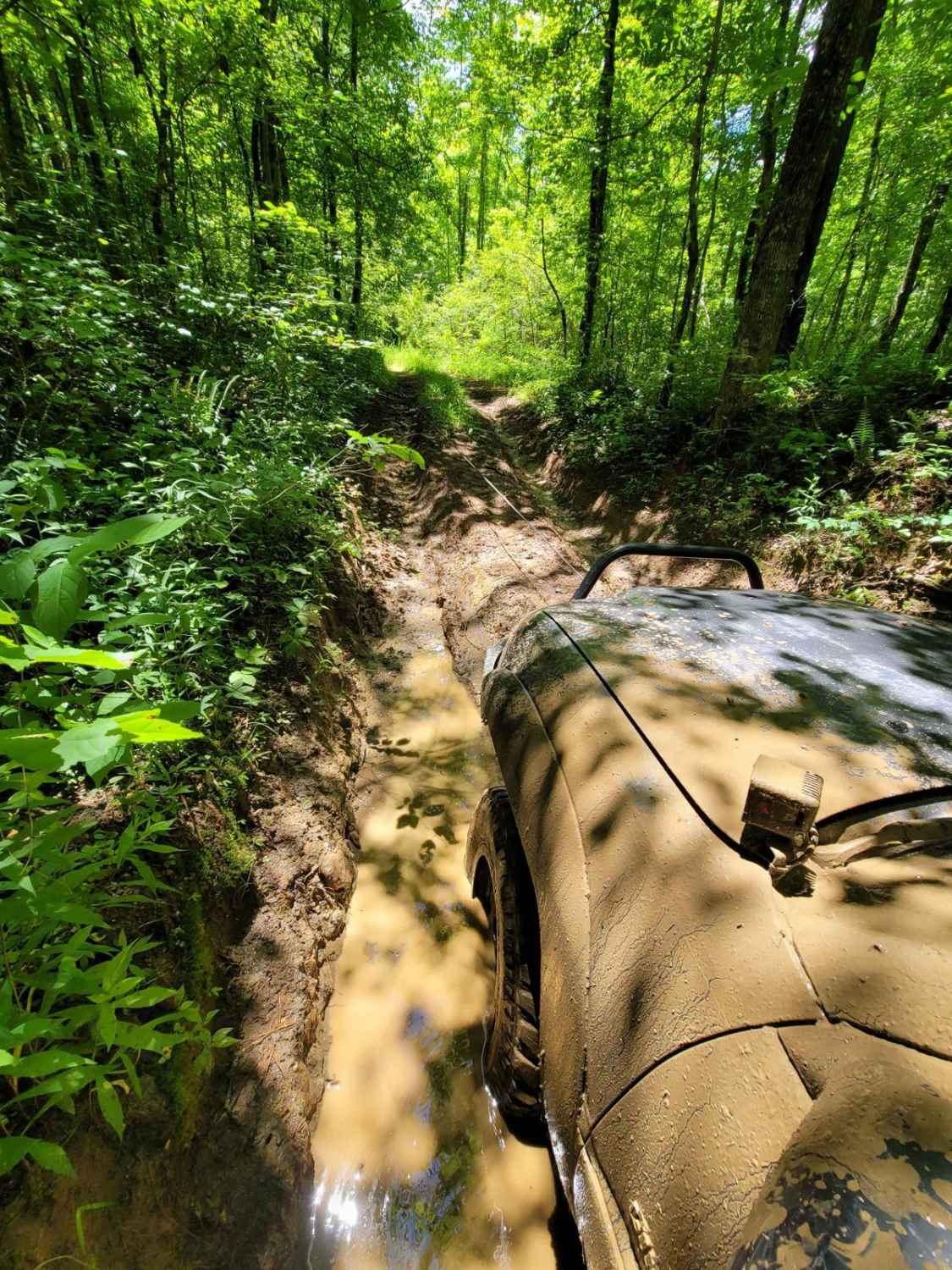 Puddle Place Loop