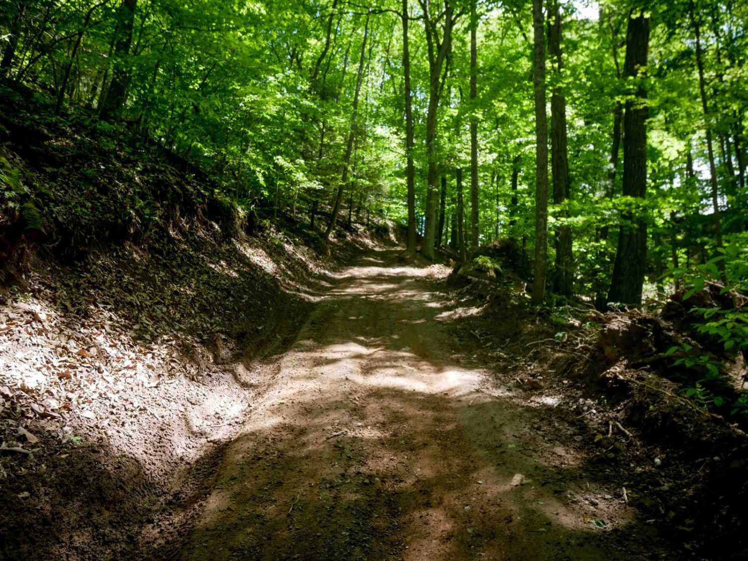 Trail 24