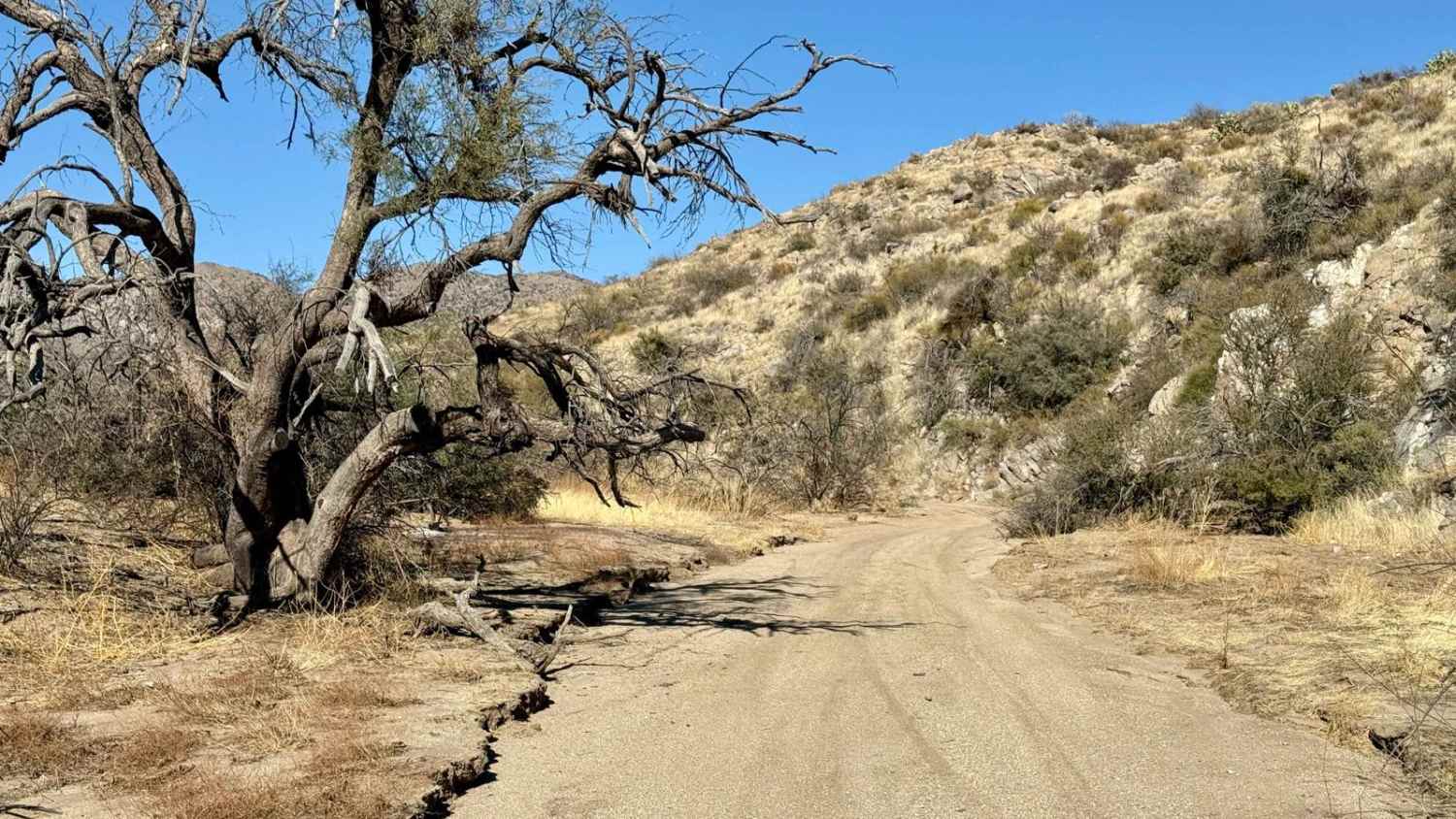 Miller Wash to the Lumpy Rocks