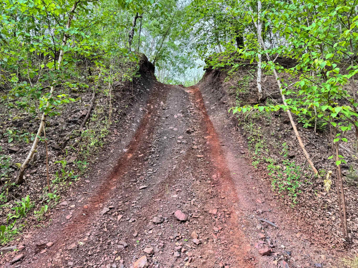 Split Personality Connector