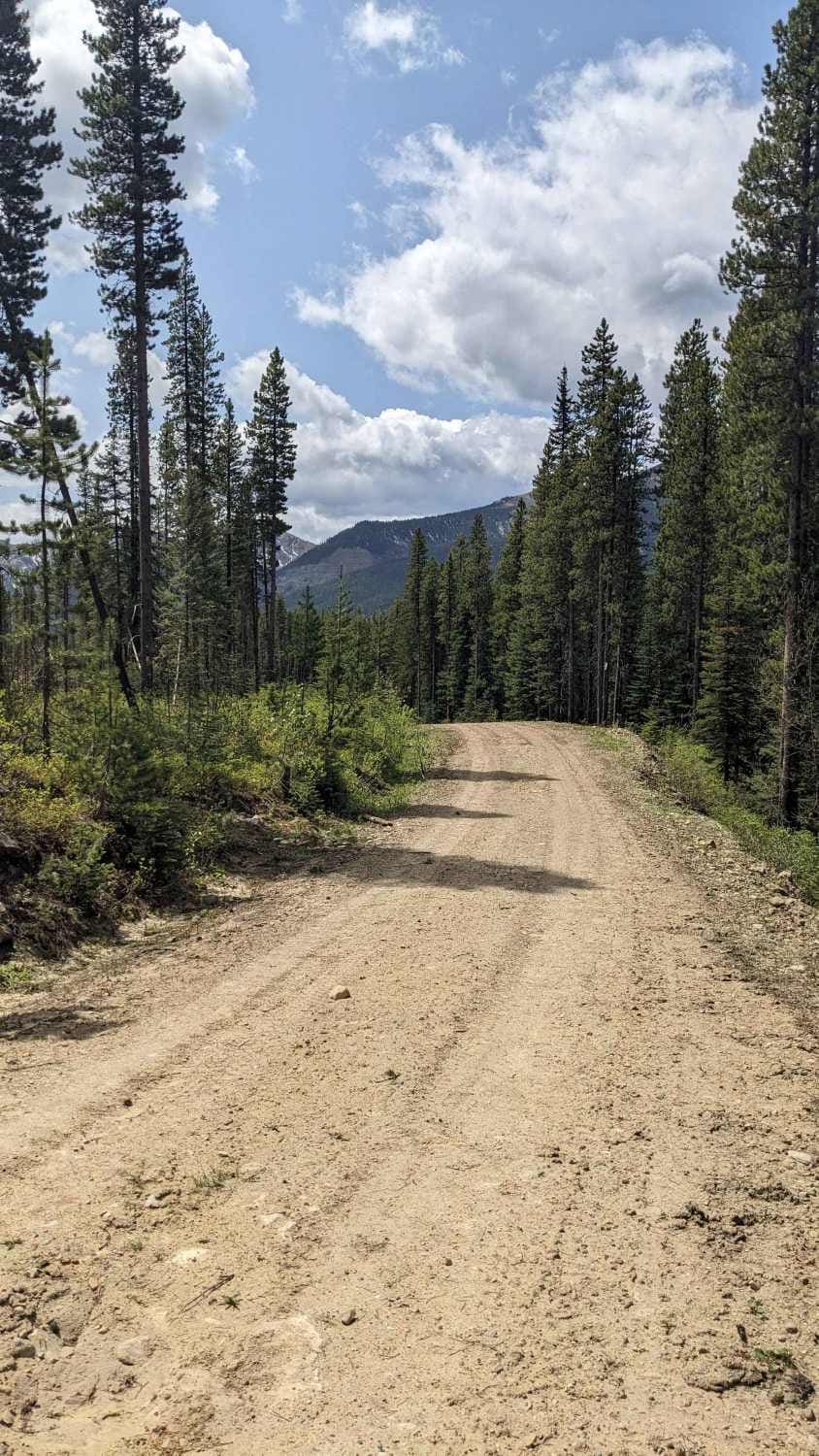 Alexander Creek Forestry Road