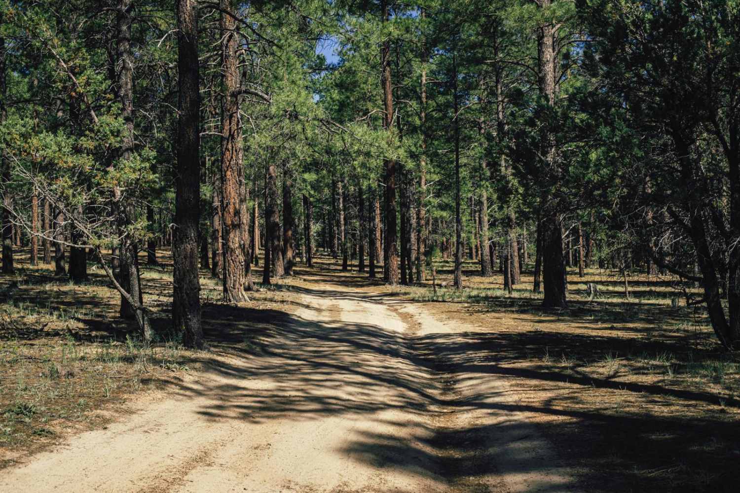 Hunter Hill Camp
