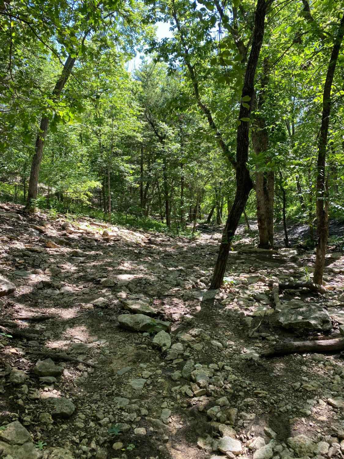 Sprattsville Shelves