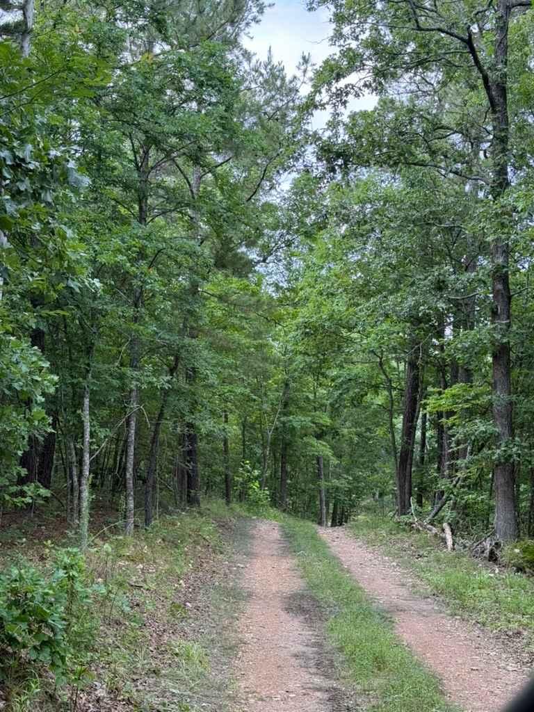 Sara's Trail