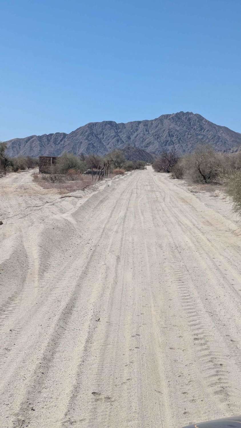 Que Comience la Carrera