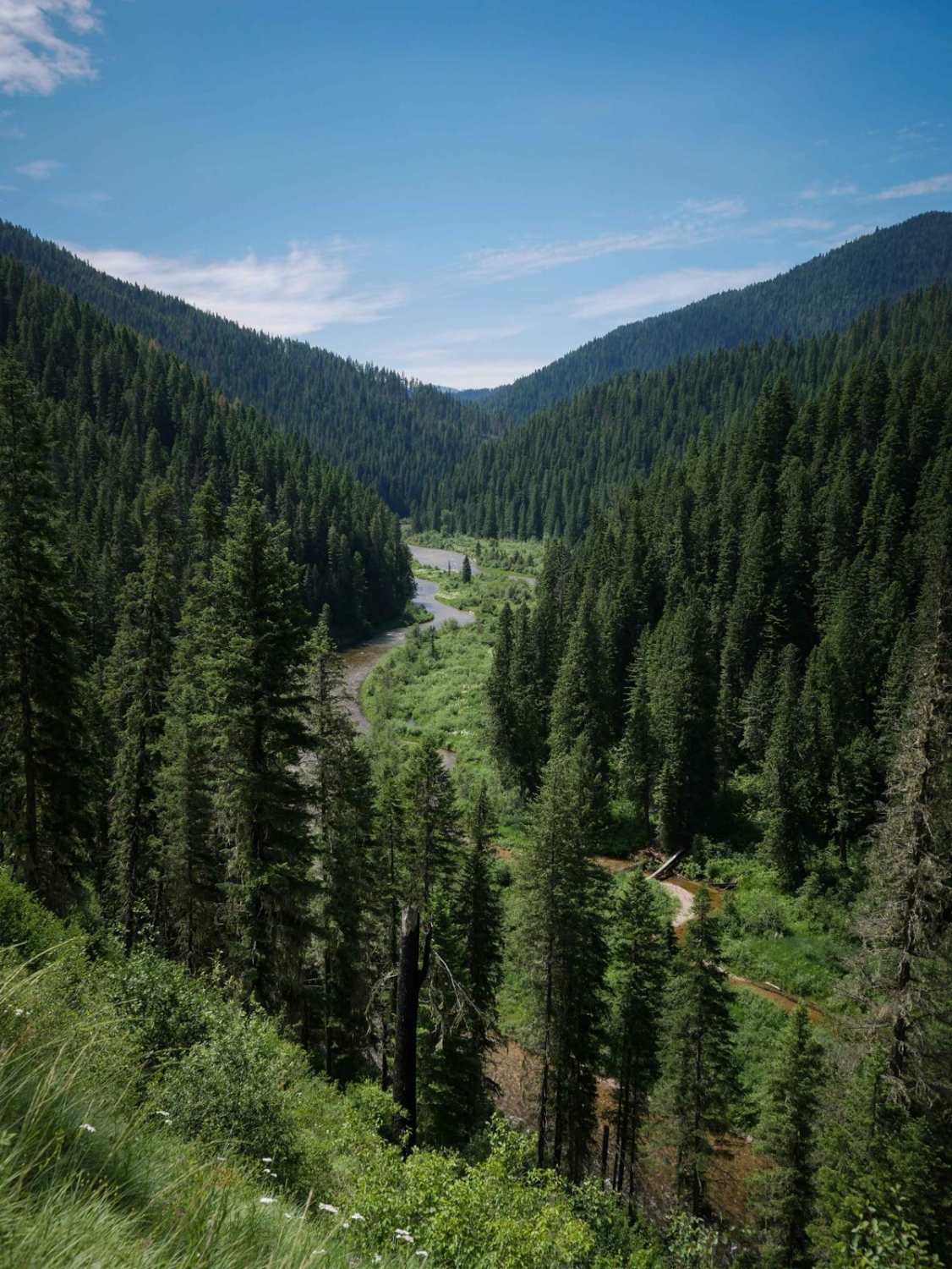 Weitas Creek  