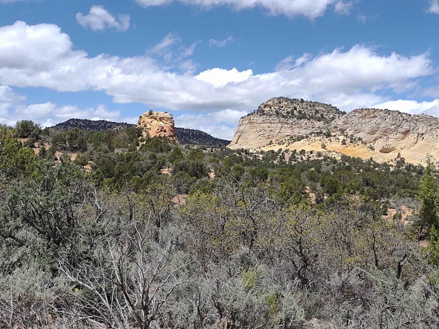 White Tower Trail