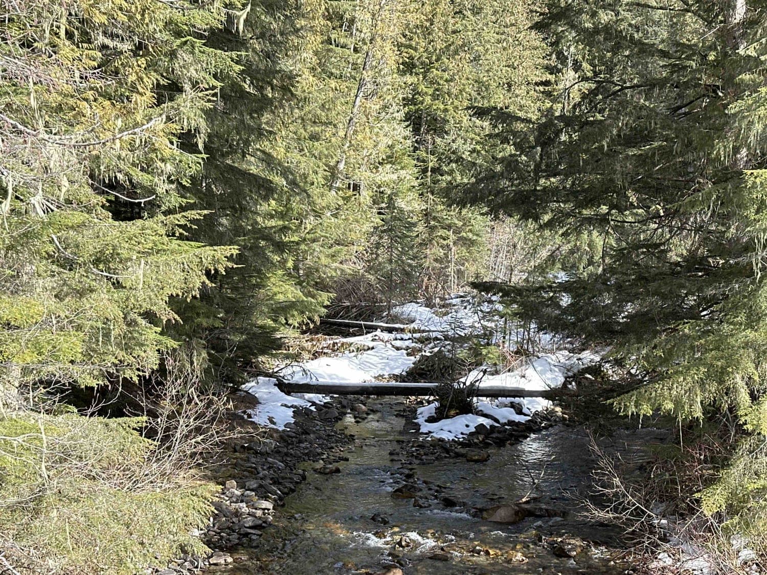 Monashee FSR/Yeoward Creek Road