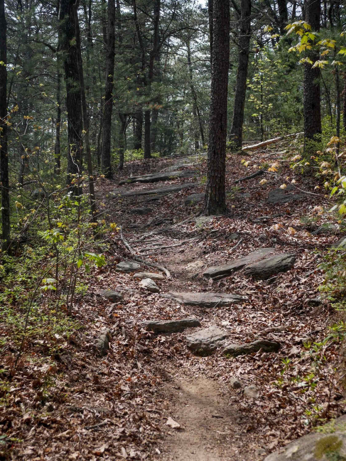 Trail 7 Richard's Bypass