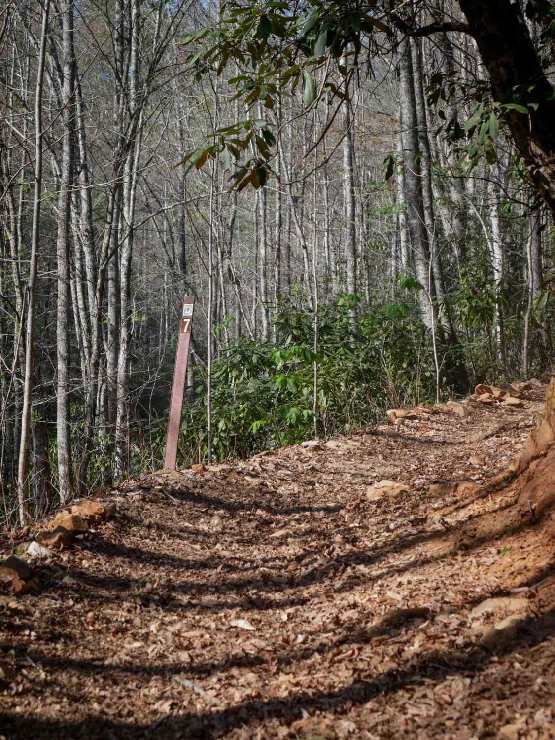 Hemlock Ridge Trail 7 