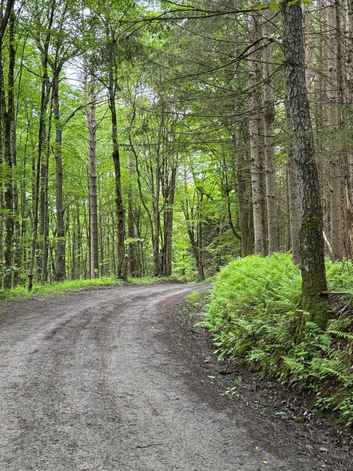Behrmann Hill Road