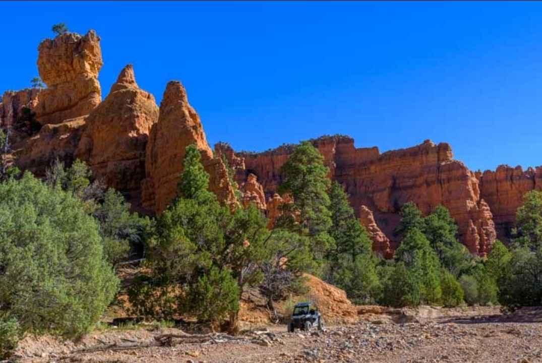 Casto Canyon OHV Trail-NFS33089