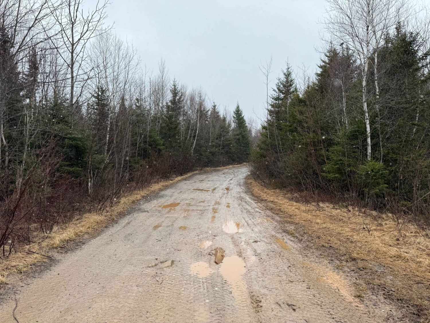 Scott Paper Road