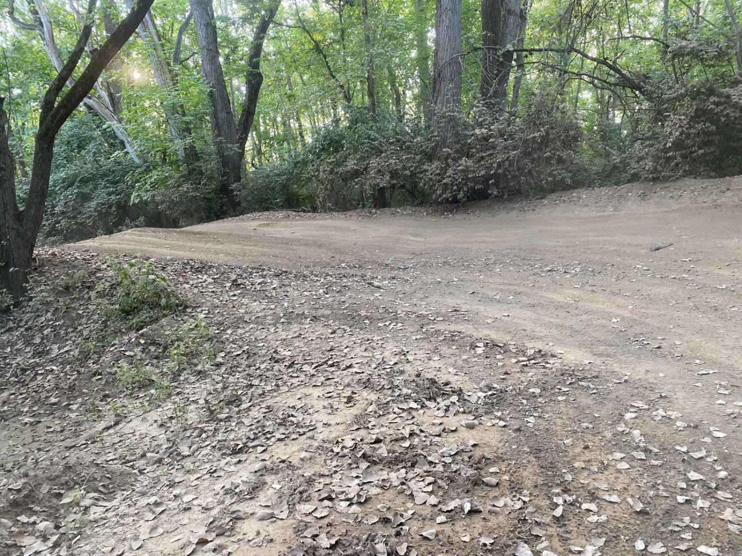 MX Track