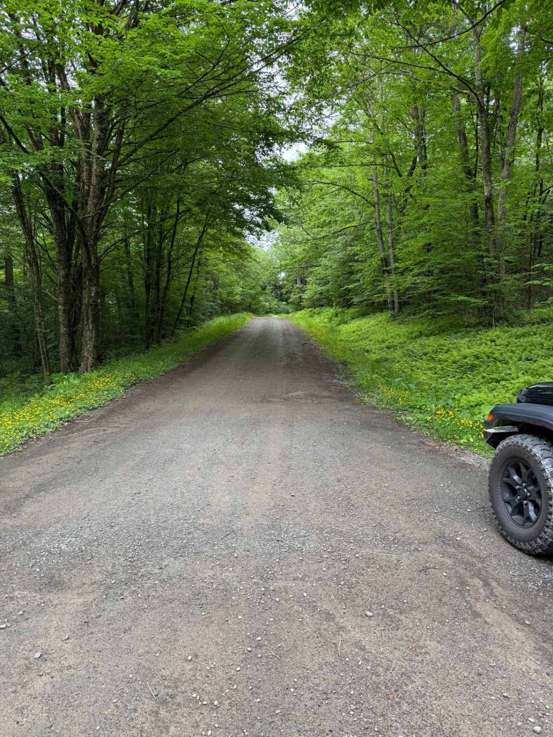 West Trout Brook Road