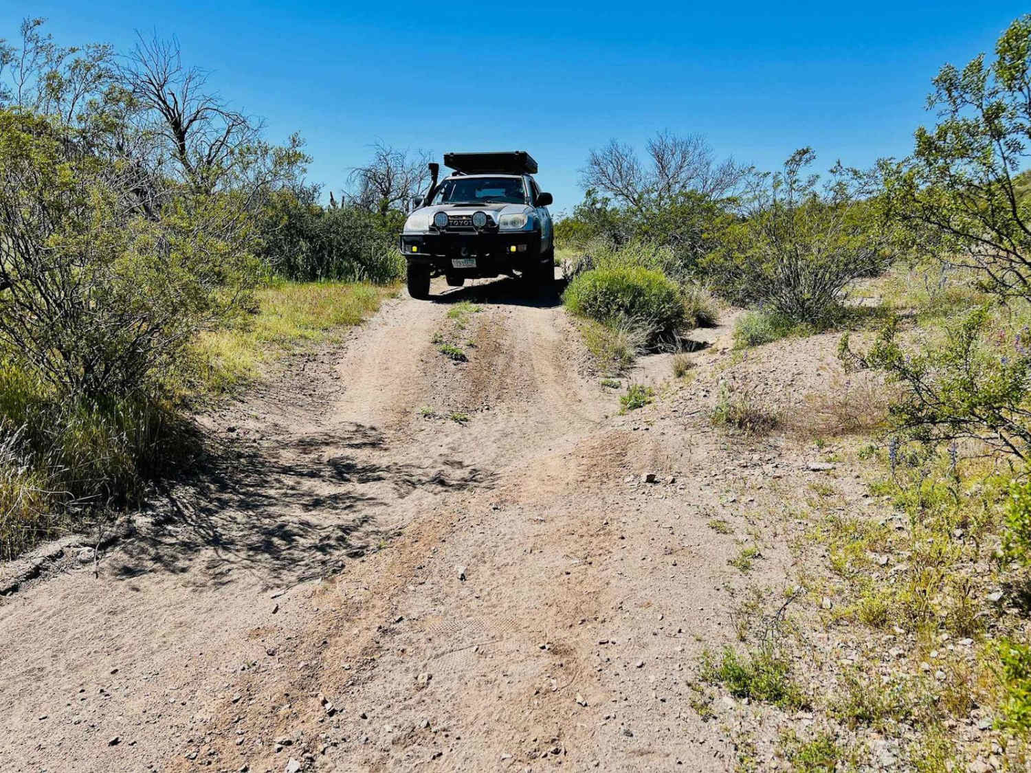 Hartman Homestead Cutover