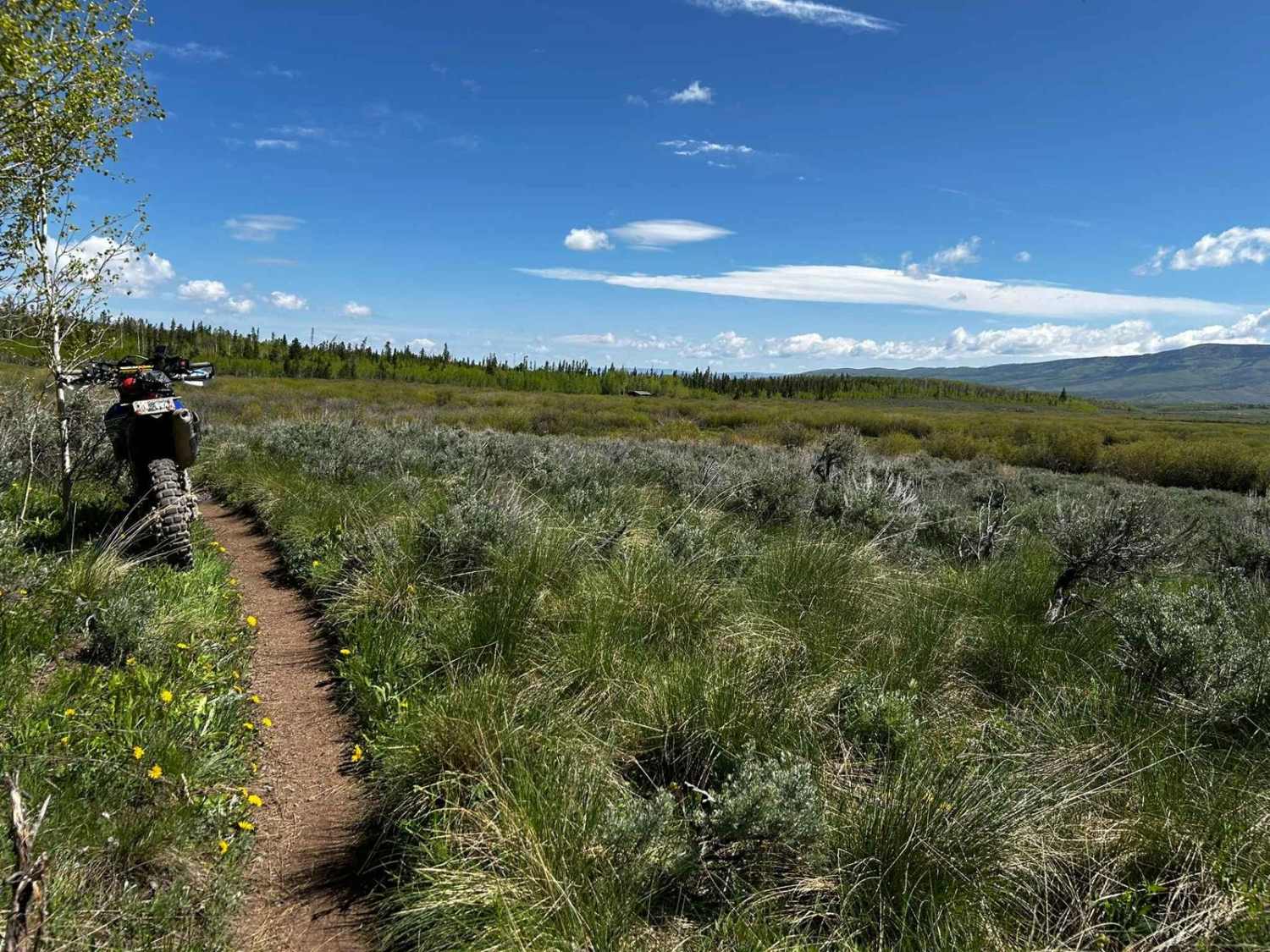 Snyder Creek Loop North Central