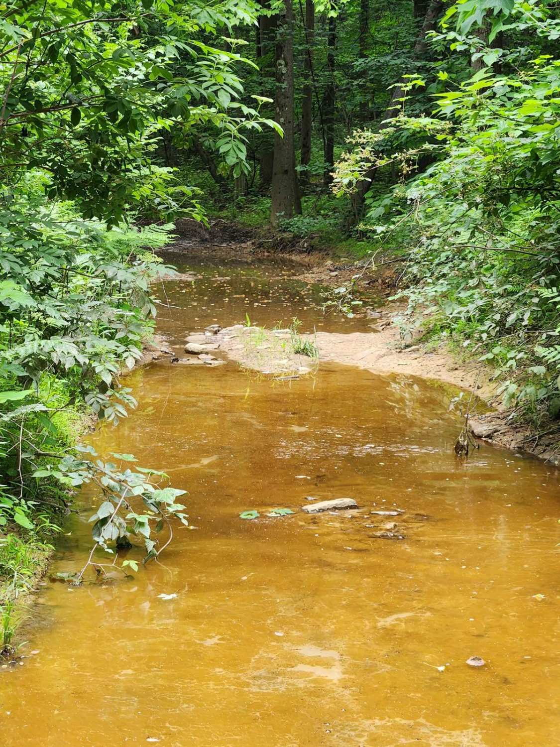 Trail 1A - Rock Run Recreation Area