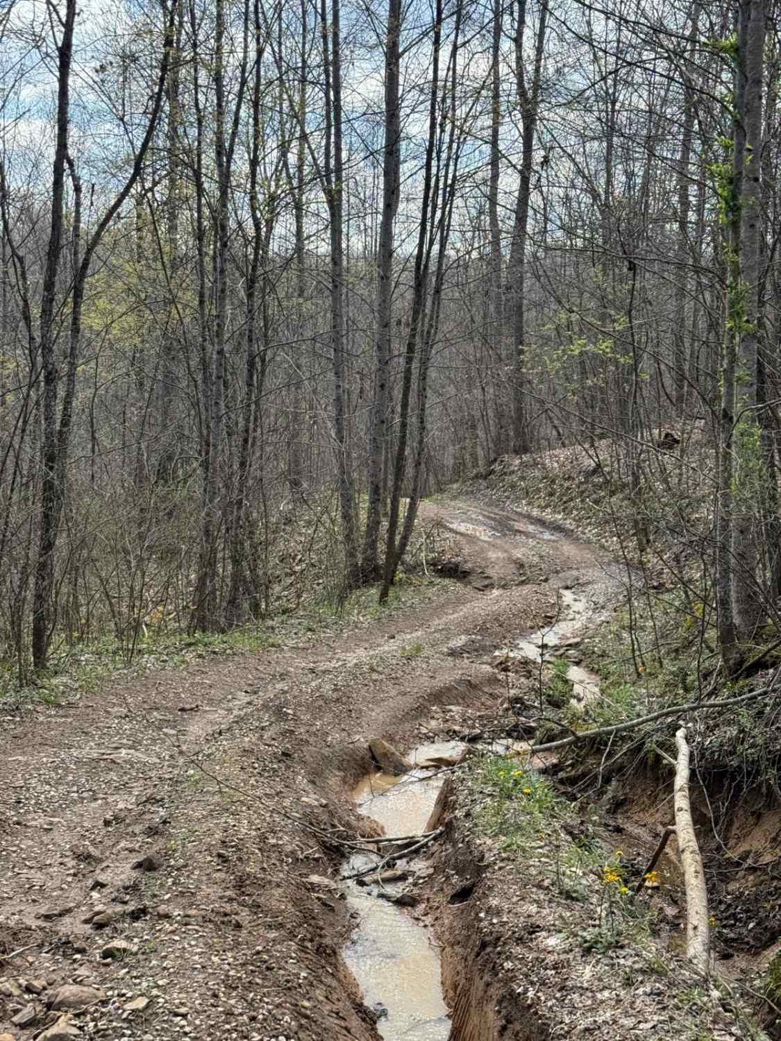 Trail 21