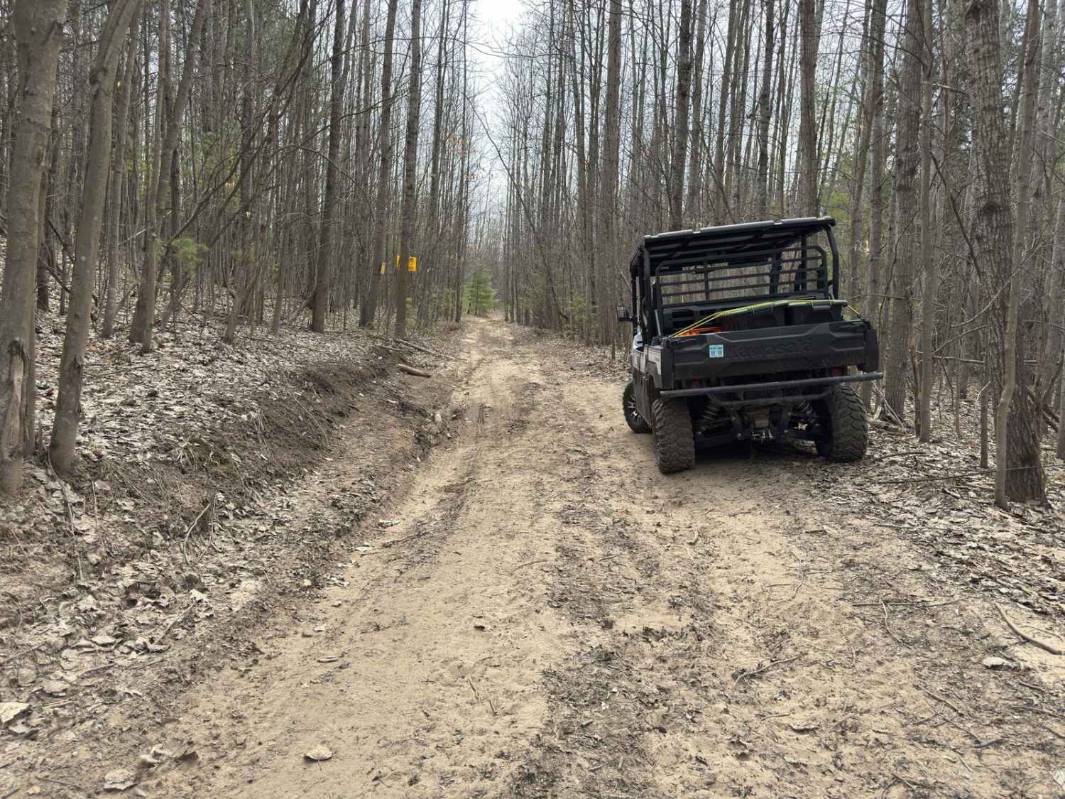 Luhr's Trail