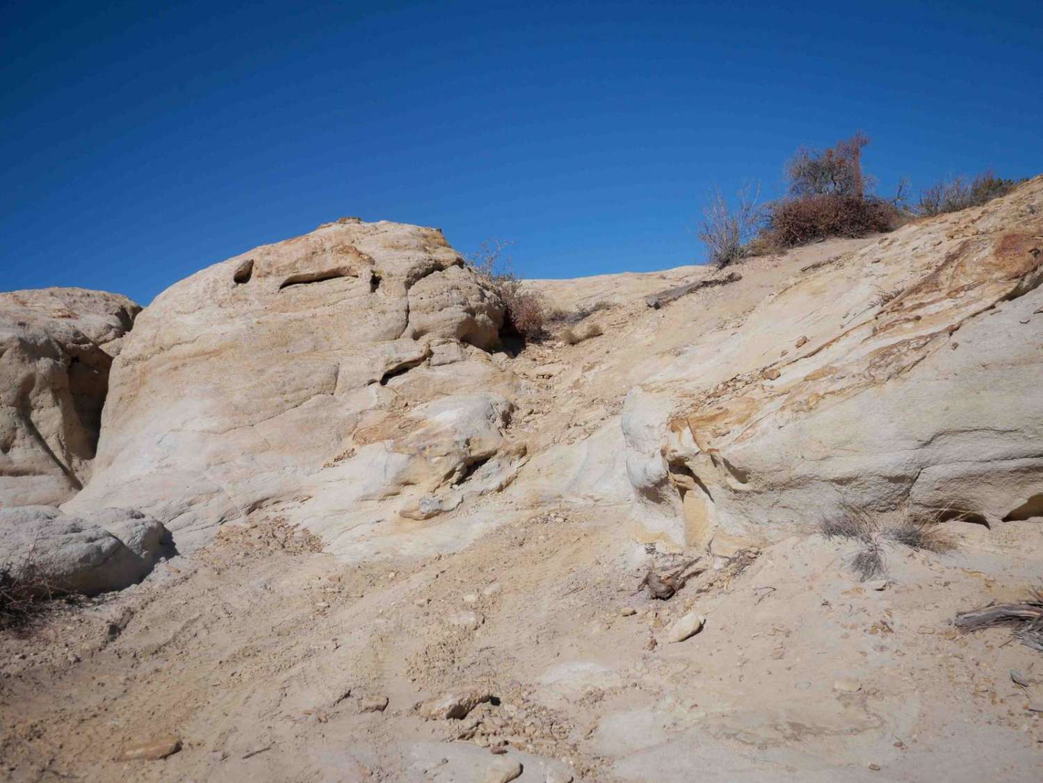 Upper Rim