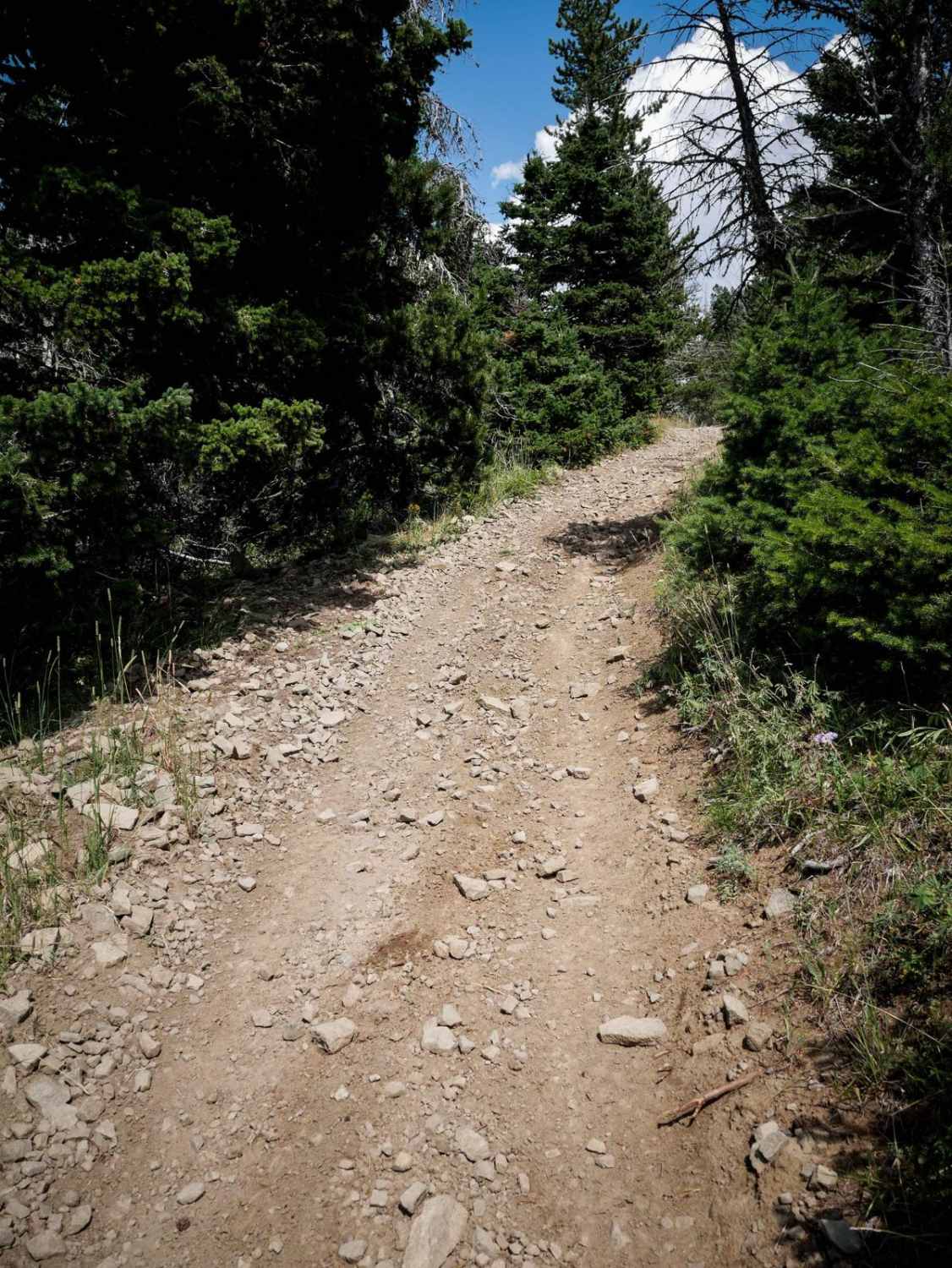 Jackson Creek ATV 