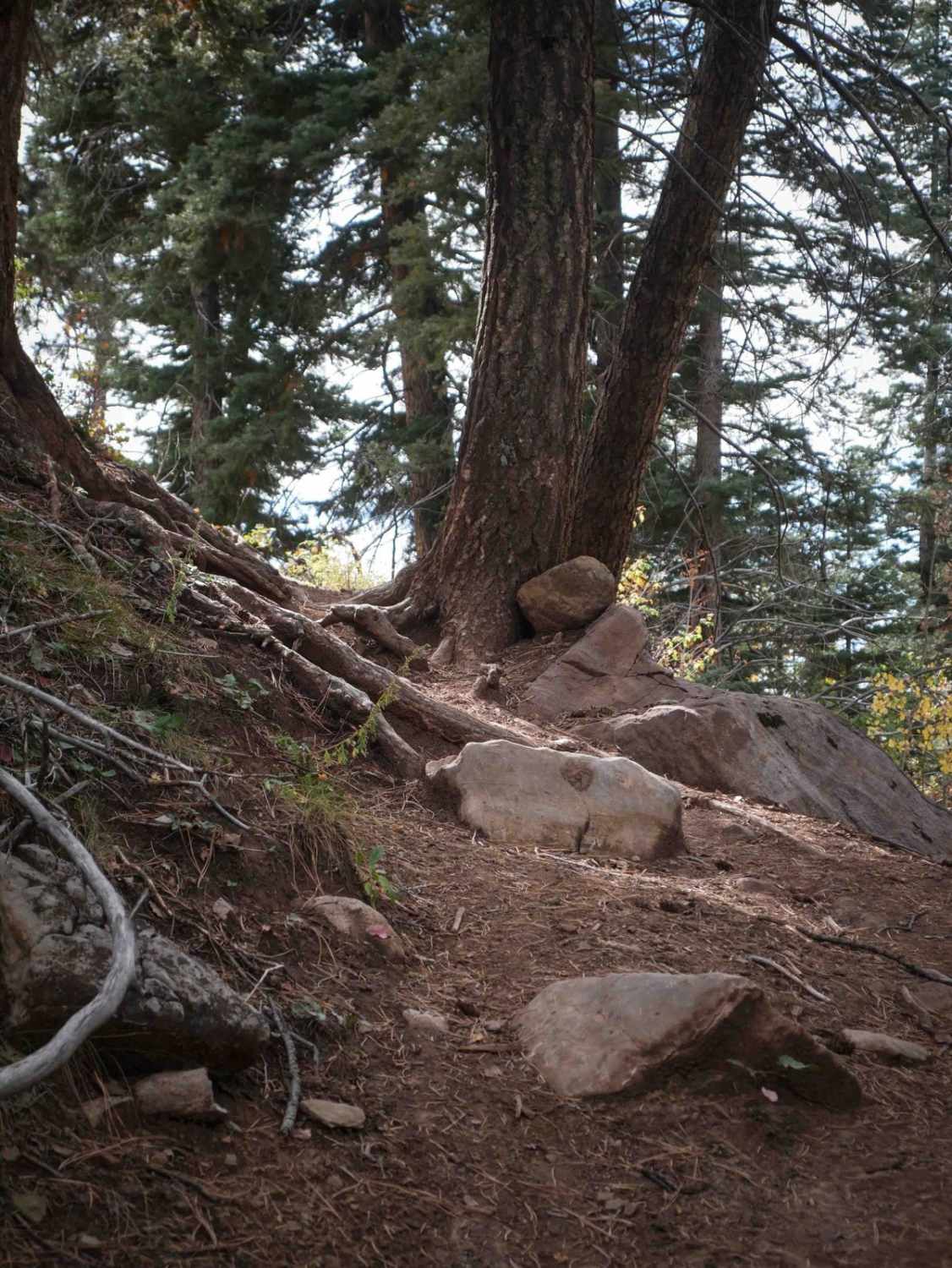Dark Canyon  