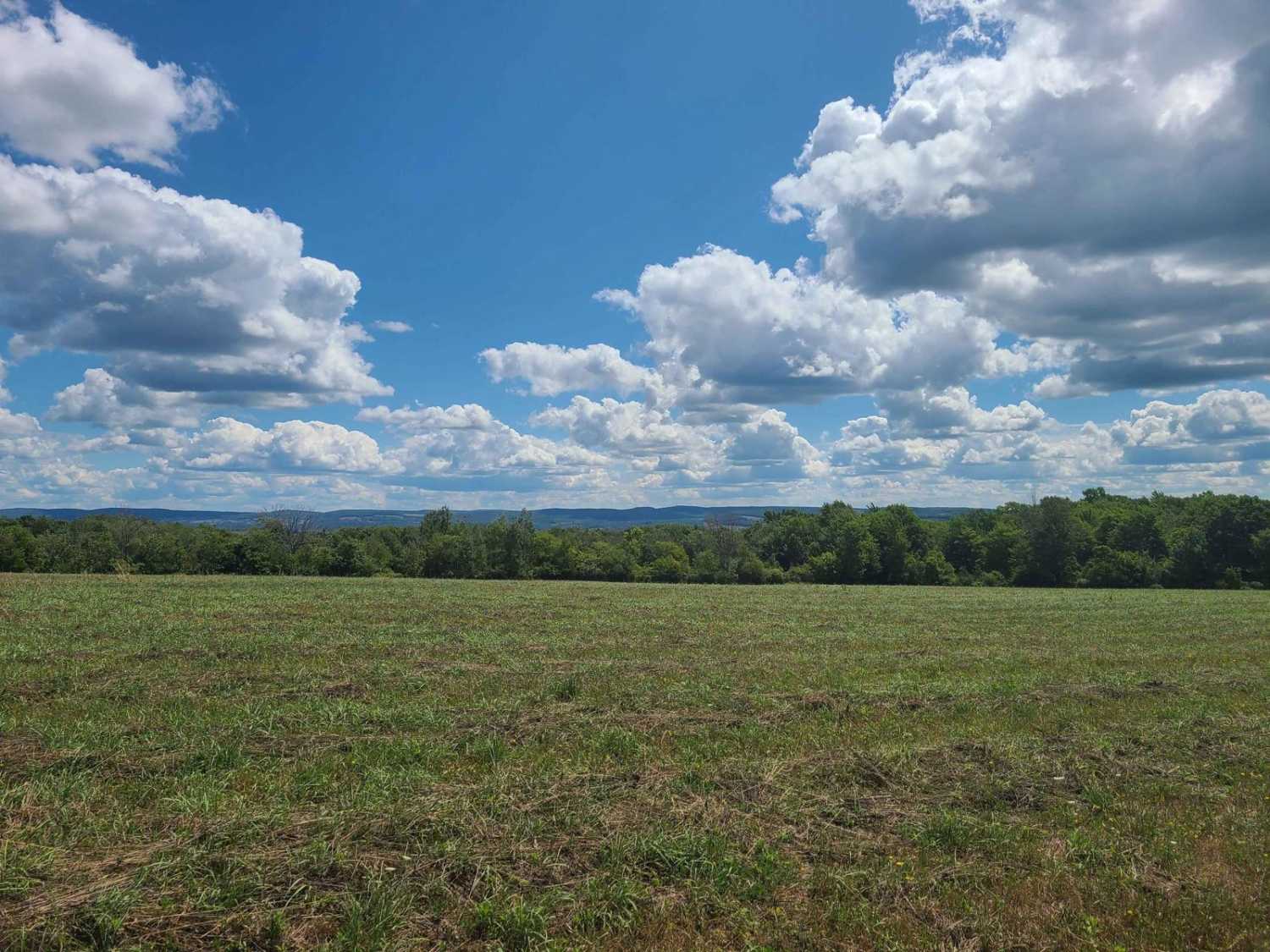 Van Amburg Road