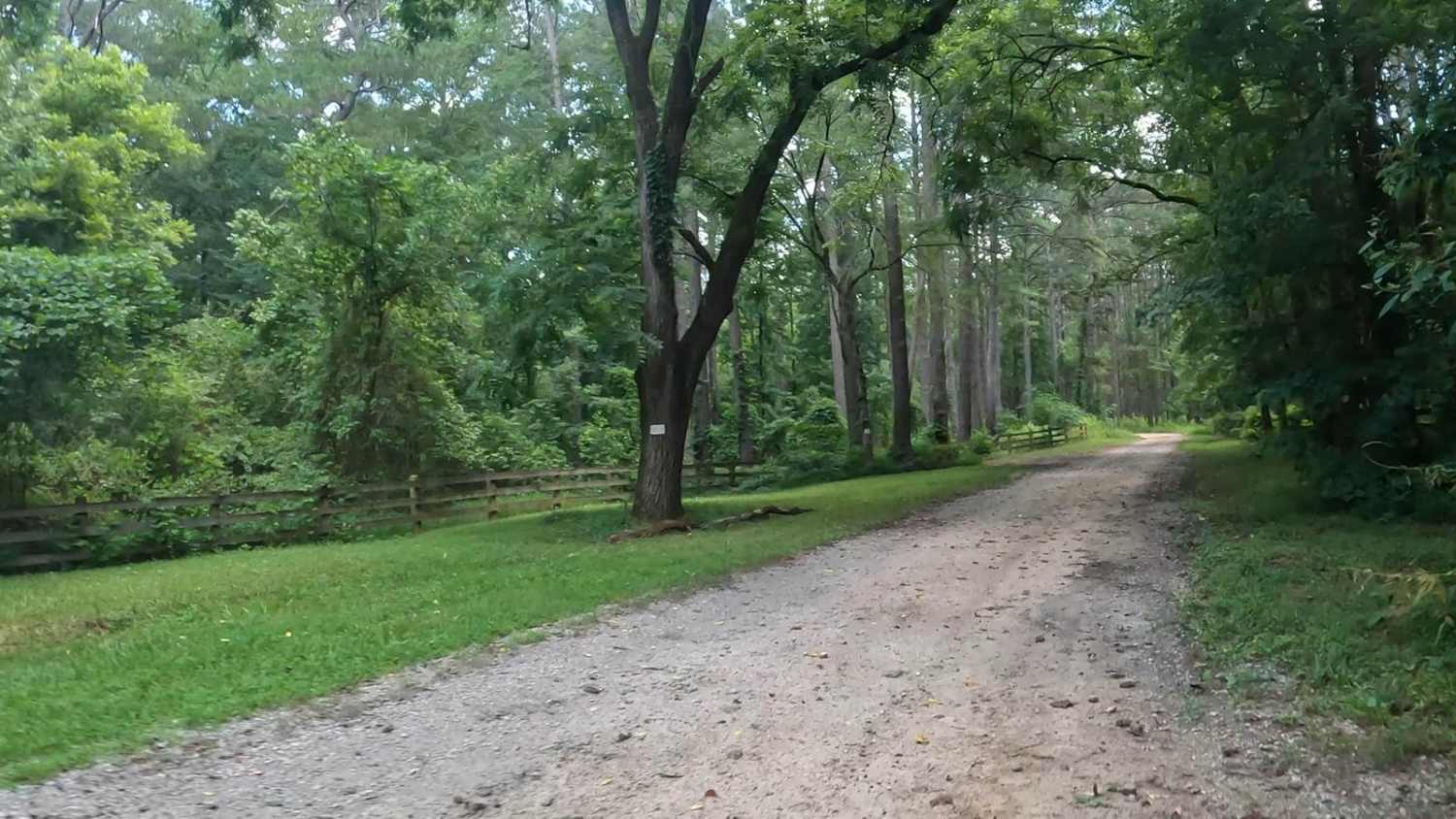 Penfield Hunt Camp Road