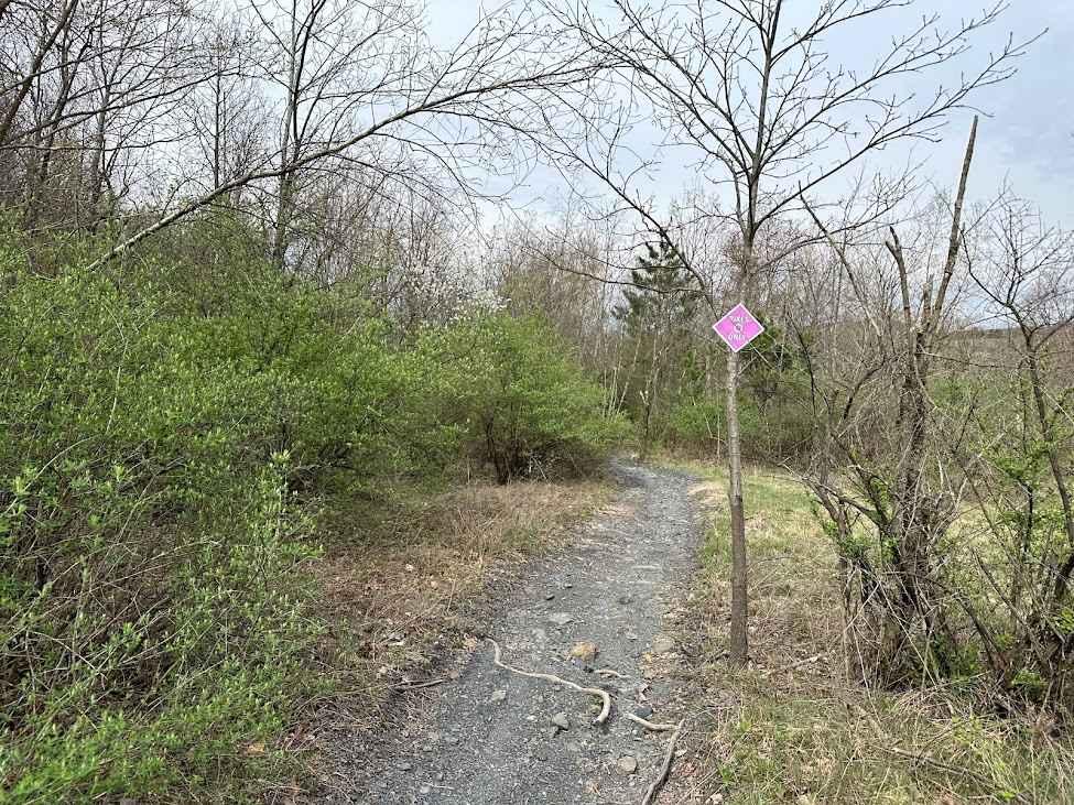 St. Keirns Single Track 8