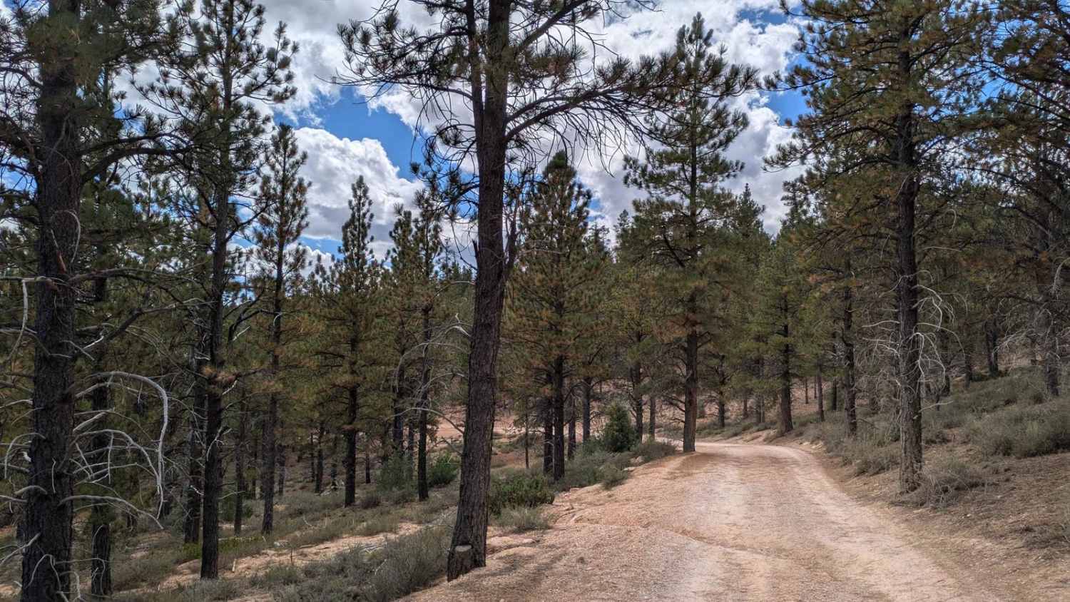 Tropic Reservoir West Side