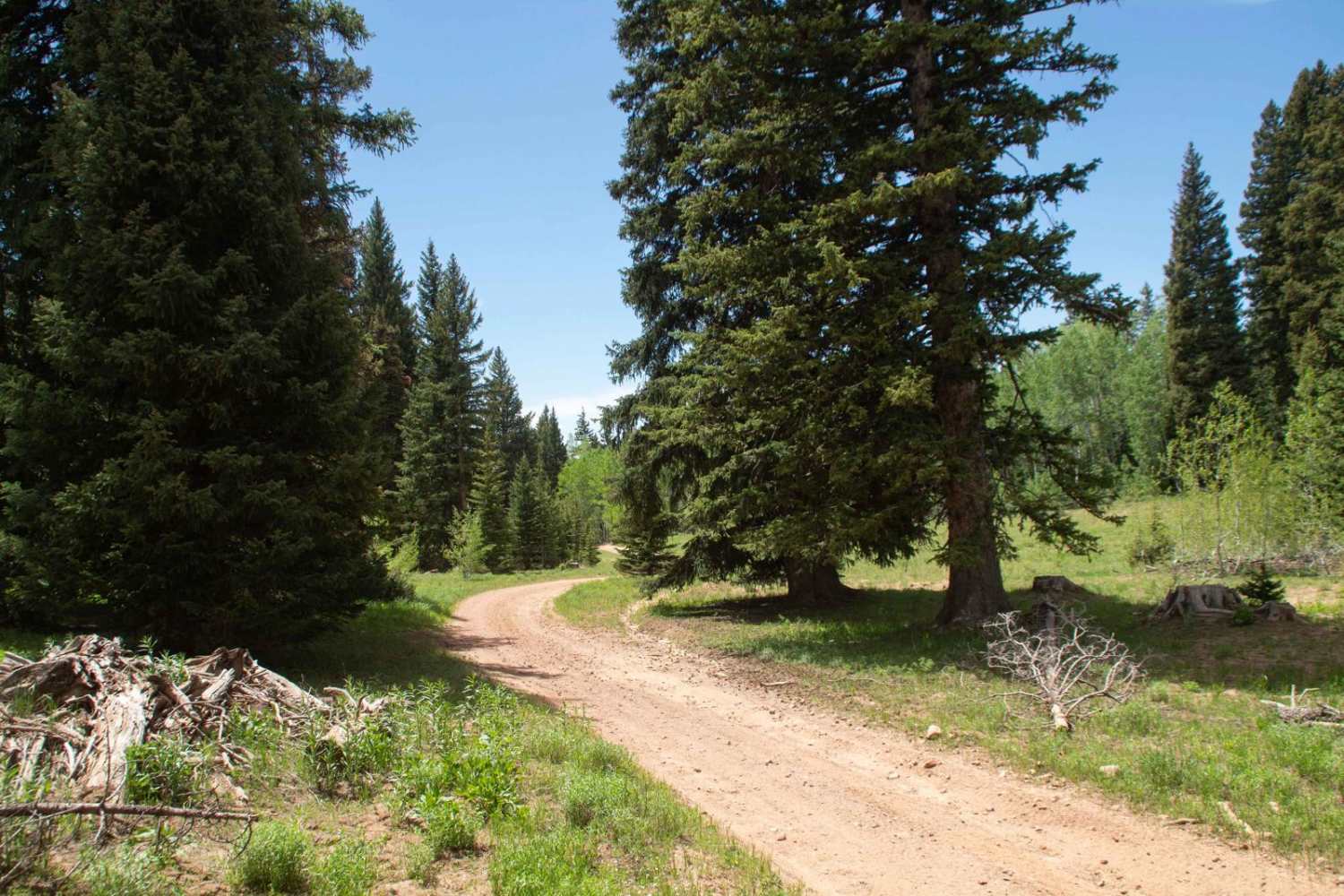 Running Water Spring Road