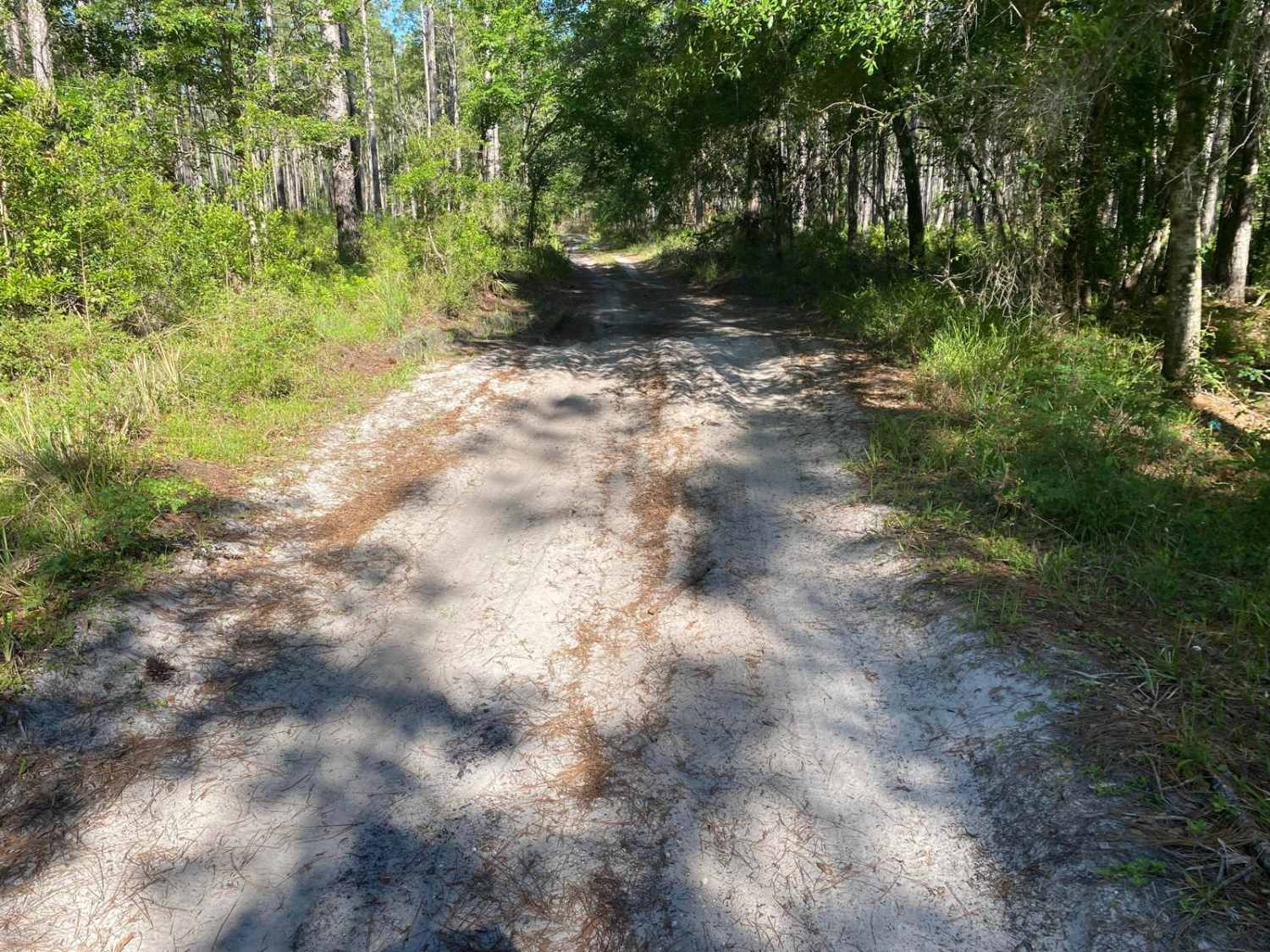 Blue Sink Road