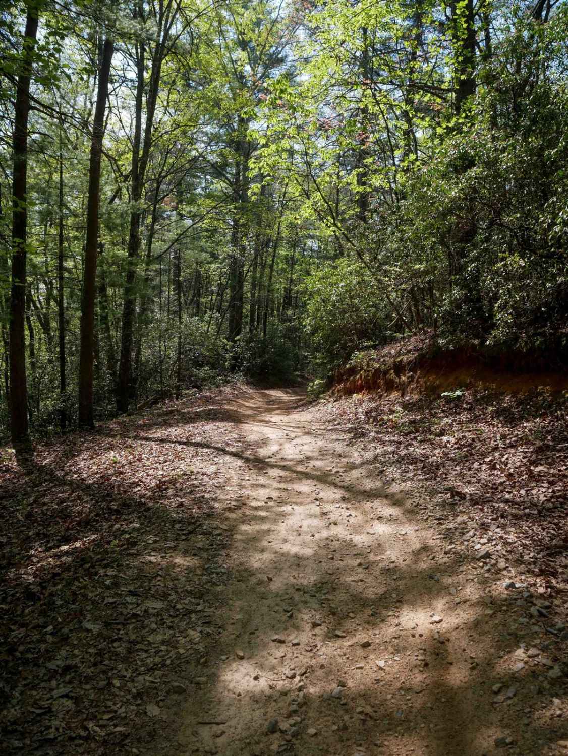 Parking Lot Trail 192 