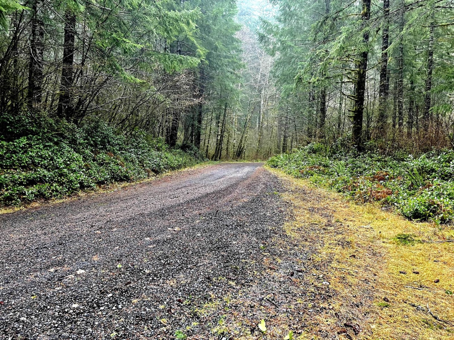 Oregon Coast Trail To Sea Lion Caves, Oregon : Off-Road Trail Map