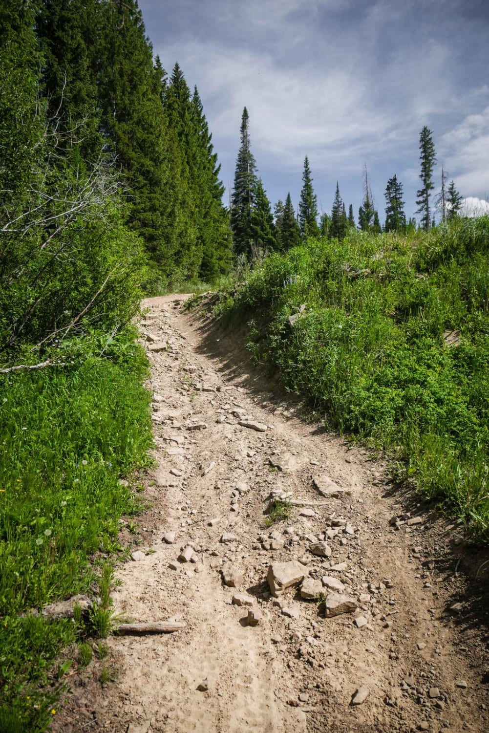 Farwell Mountain ATV Trail