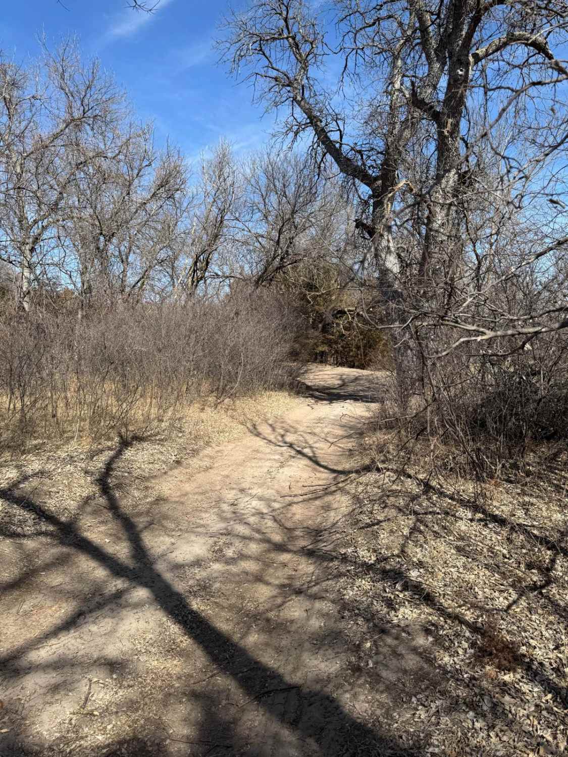 Forest Road 214-2 - County Line