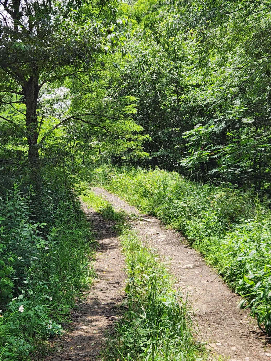 Trail 8G - Rock Run Recreation Area