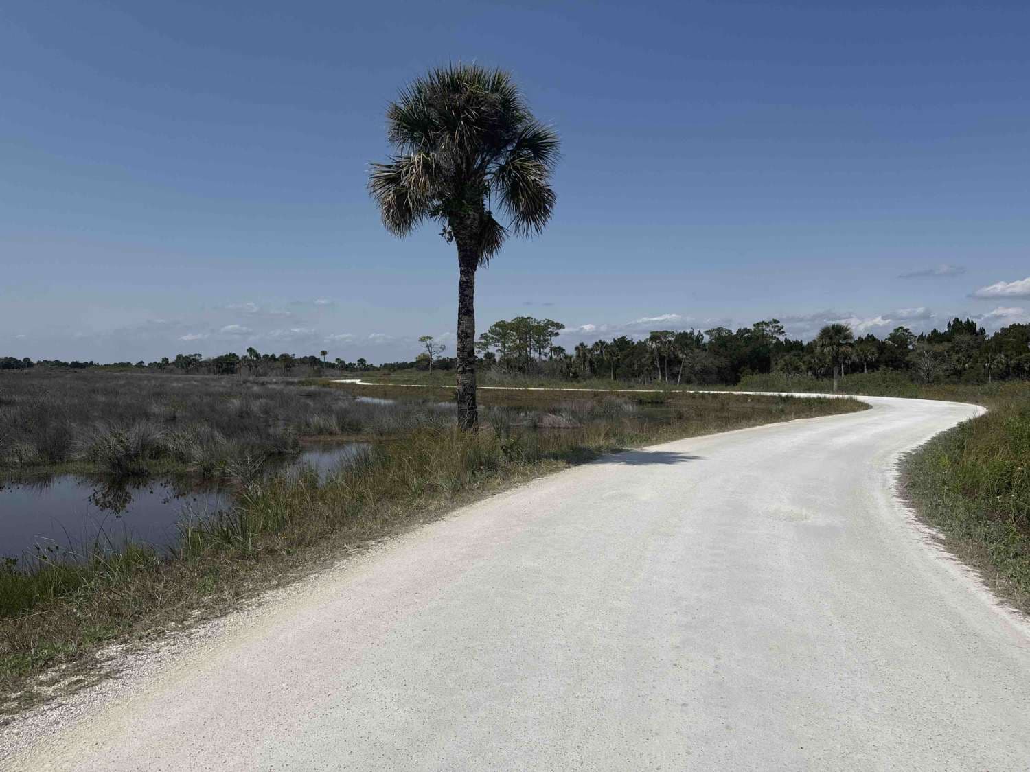 Black Point Wildlife Drive