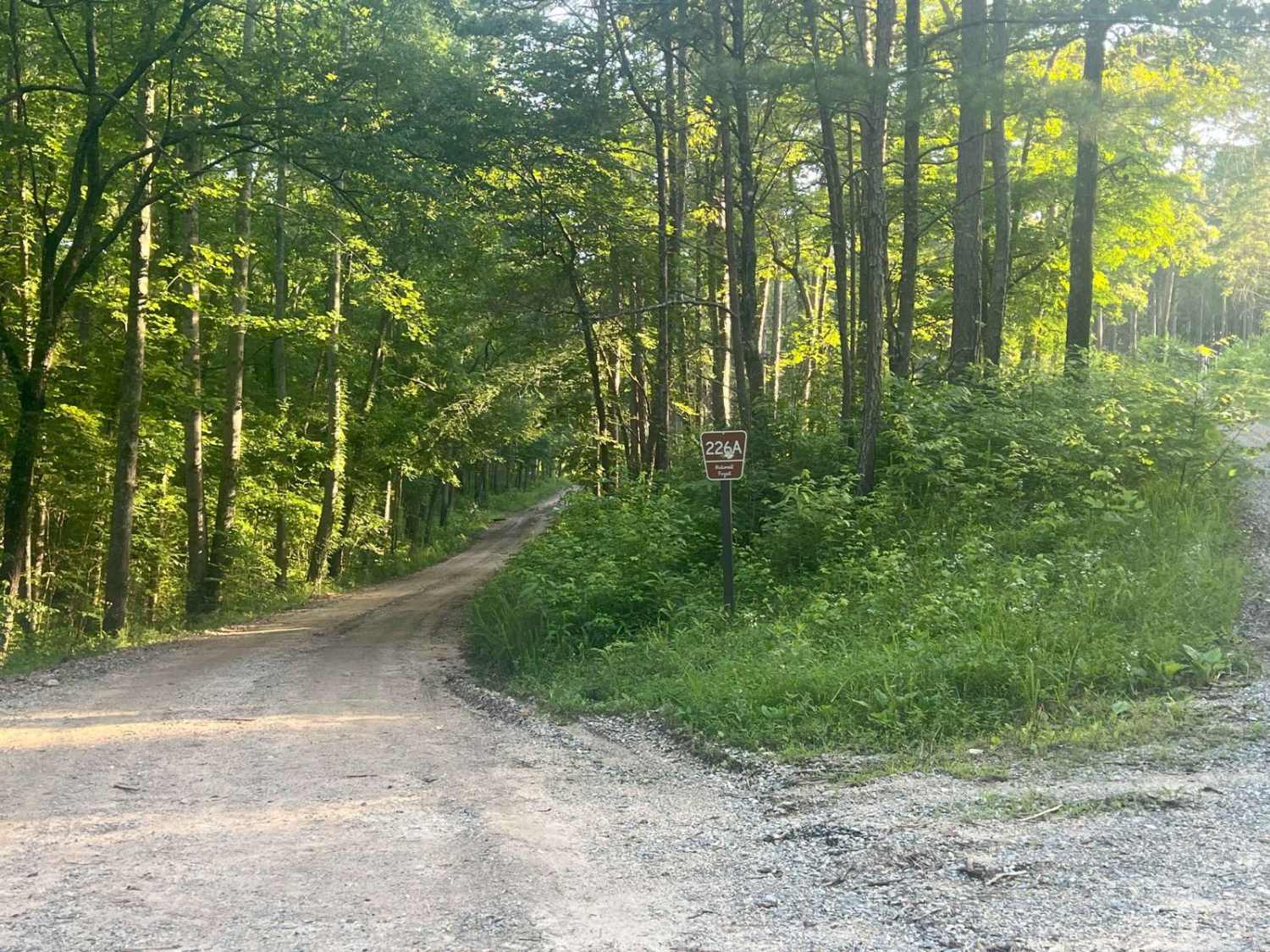 Dry Creek Branch A - Forest Road 226A