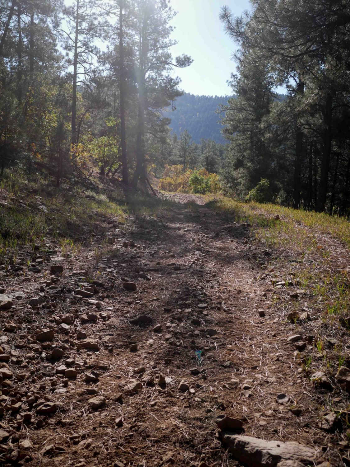 Elk Creek  