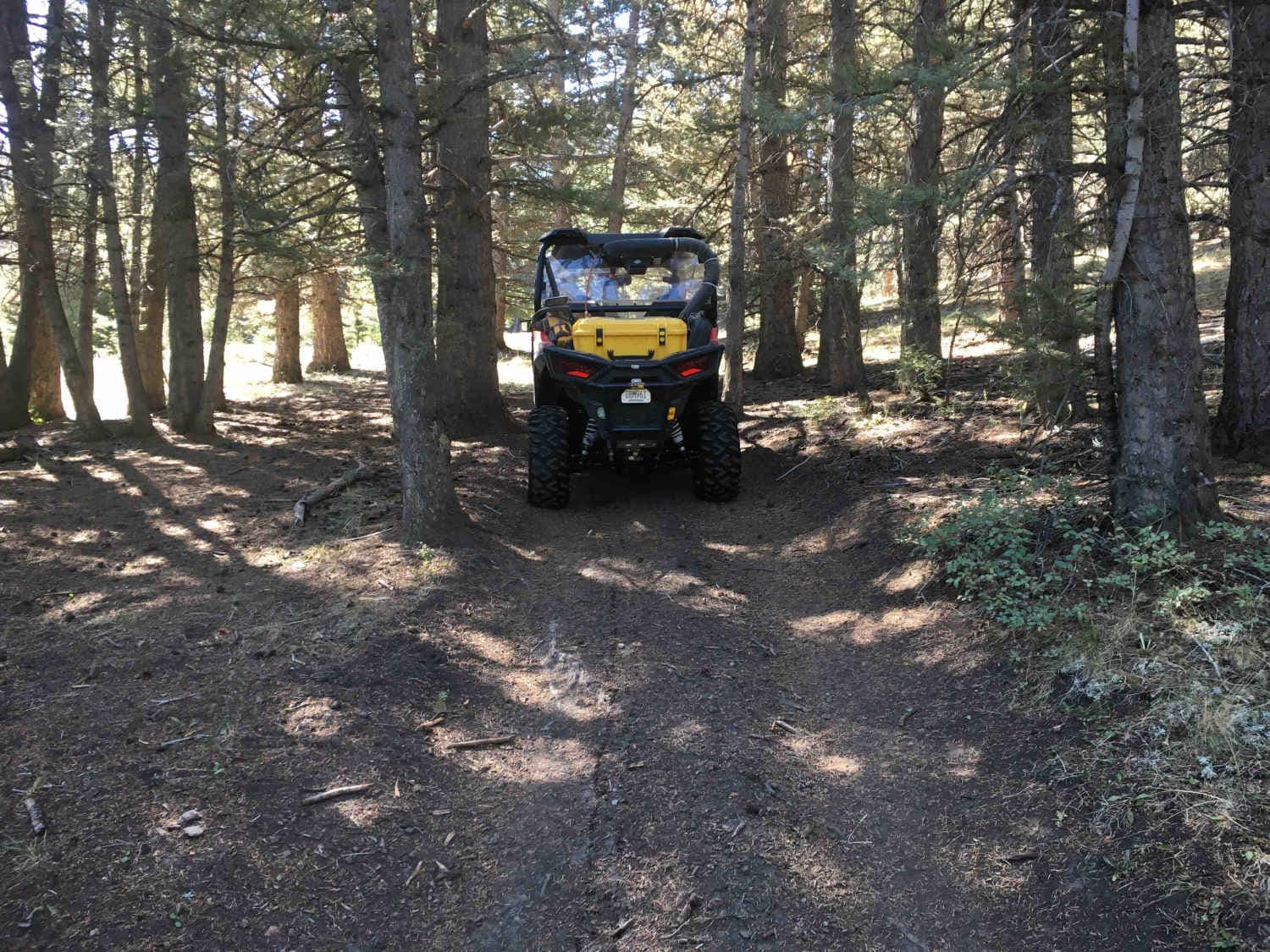 Northfork Eightmile Trail