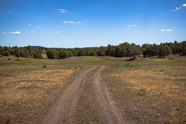 Antelope Loop