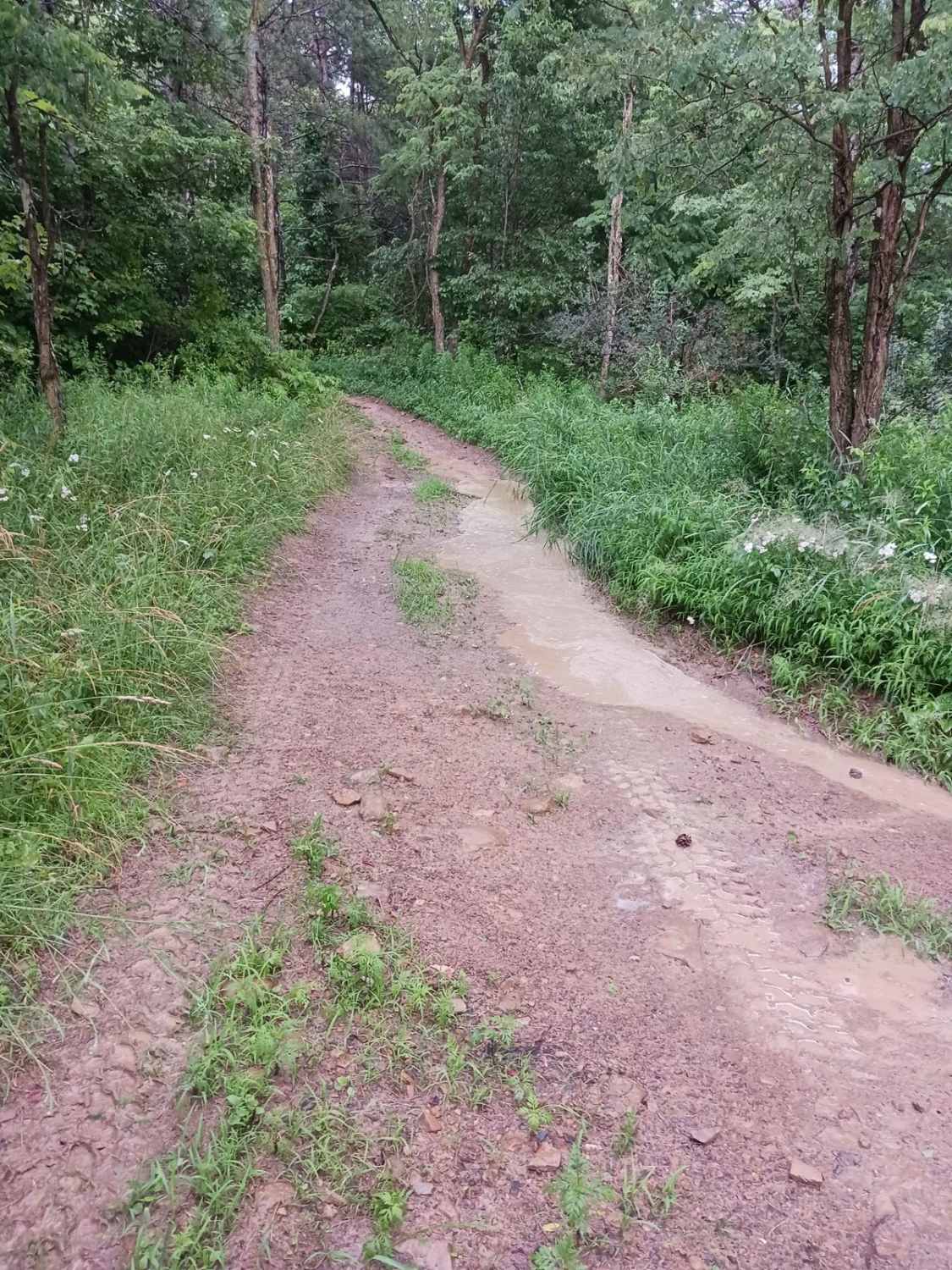 Trail 3C - Rock Run Recreation Area