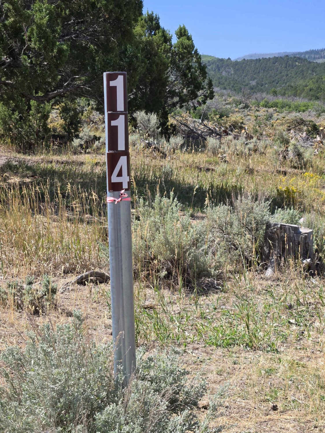 Forest Service 114