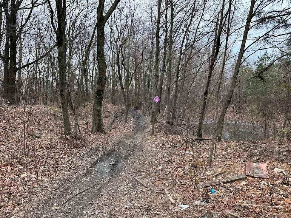 Locust Gap Single Track Add On A