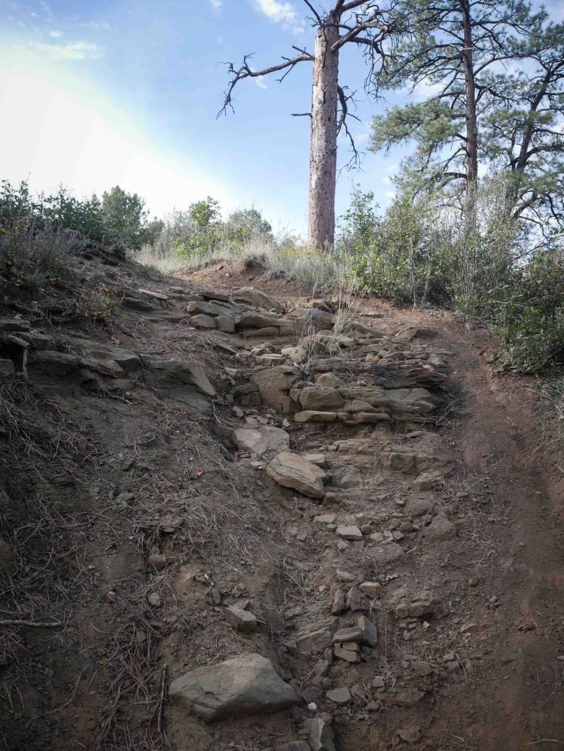 Ridge
