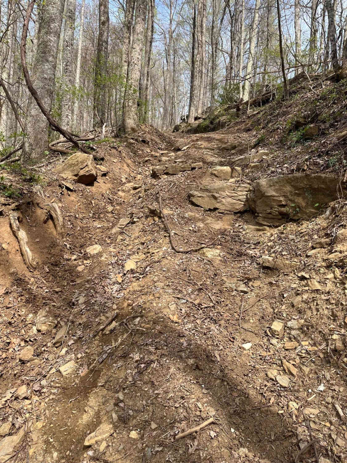 Devil's Backbone - 93B