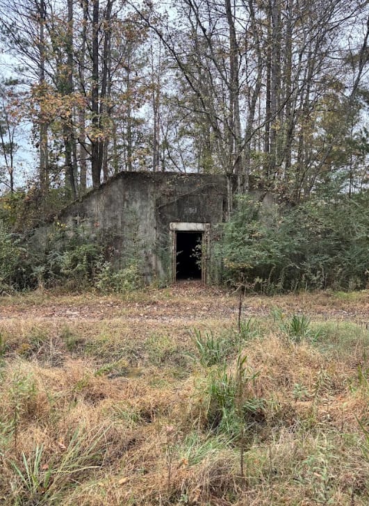 11A