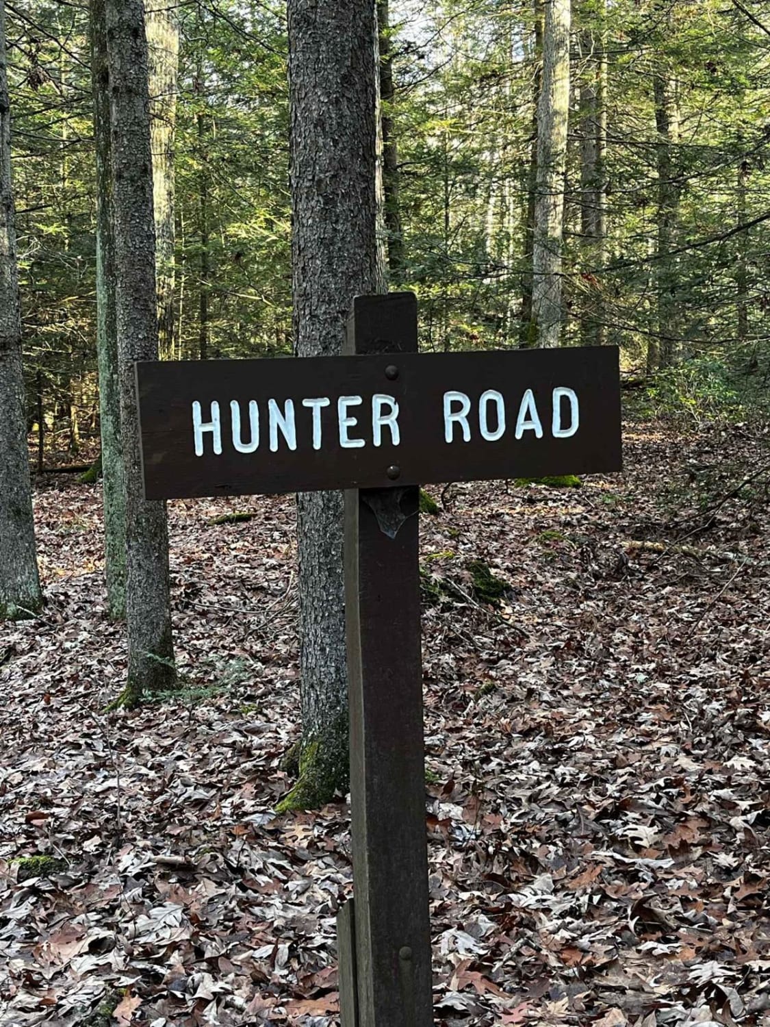 Hunter Road